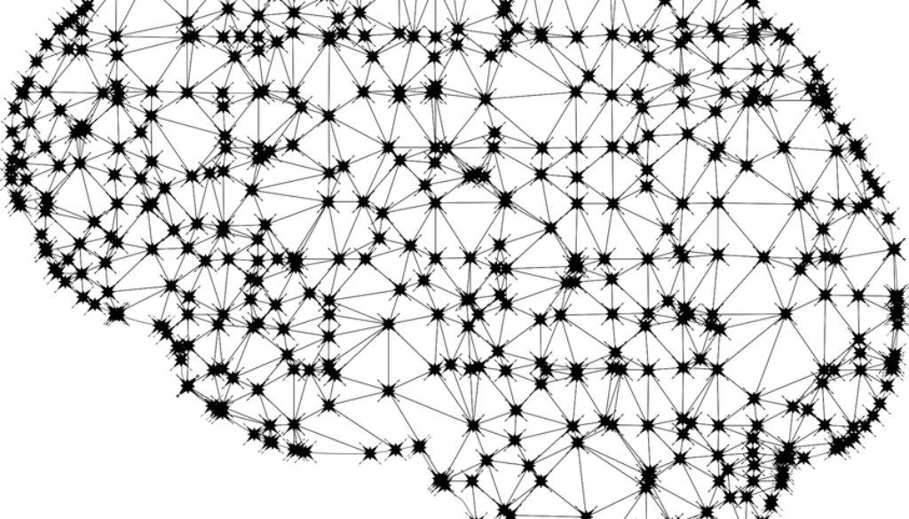 a-2729794_960_720